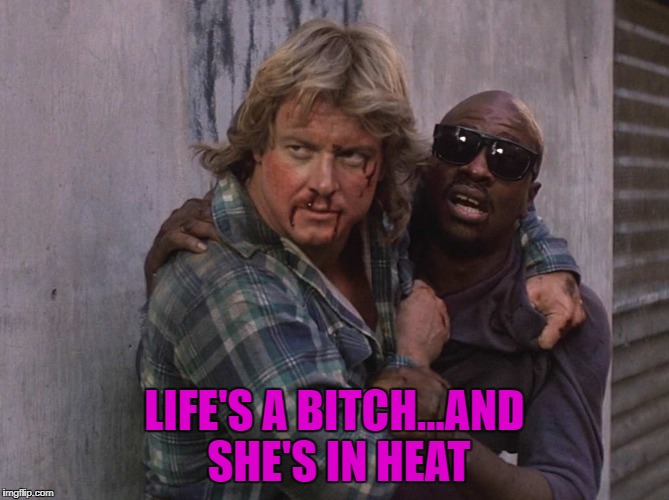 LIFE'S A B**CH...AND SHE'S IN HEAT | made w/ Imgflip meme maker