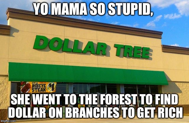 Dollar Tree | YO MAMA SO STUPID, SHE WENT TO THE FOREST TO FIND DOLLAR ON BRANCHES TO GET RICH | image tagged in dollar tree | made w/ Imgflip meme maker