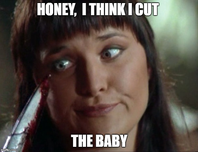 xena ooops | HONEY,  I THINK I CUT; THE BABY | image tagged in xena ooops | made w/ Imgflip meme maker