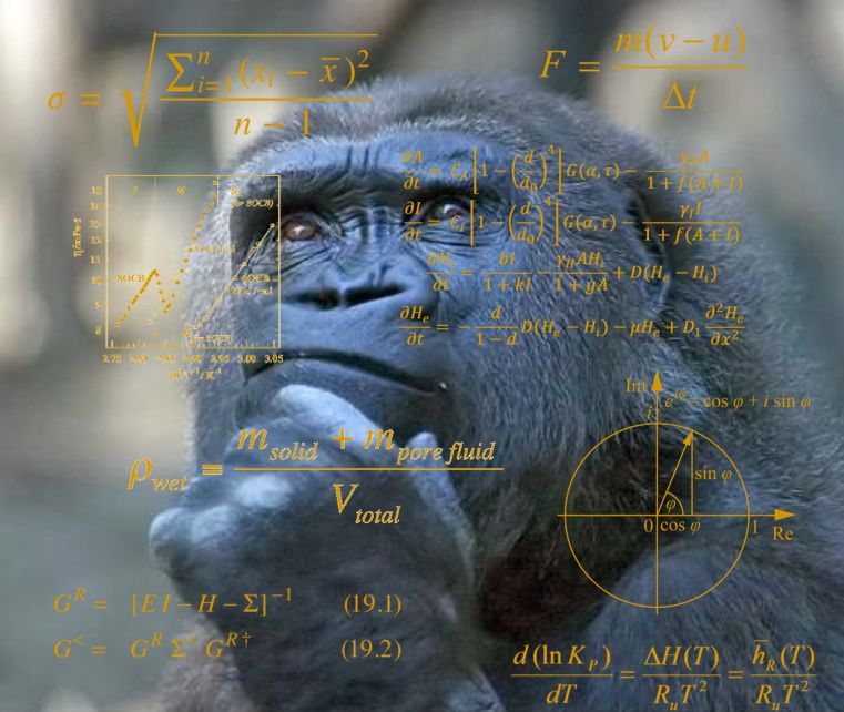 Thinking Math Ape Meme Generator - Imgflip