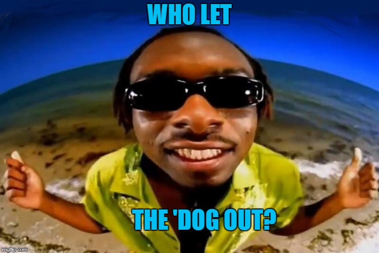WHO LET THE 'DOG OUT? | made w/ Imgflip meme maker