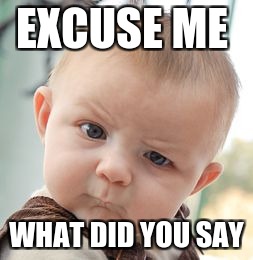 Skeptical Baby Meme | EXCUSE ME; WHAT DID YOU SAY | image tagged in memes,skeptical baby | made w/ Imgflip meme maker