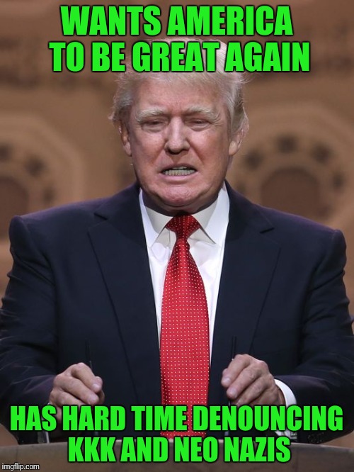Donald Trump | WANTS AMERICA TO BE GREAT AGAIN; HAS HARD TIME DENOUNCING KKK AND NEO NAZIS | image tagged in donald trump | made w/ Imgflip meme maker