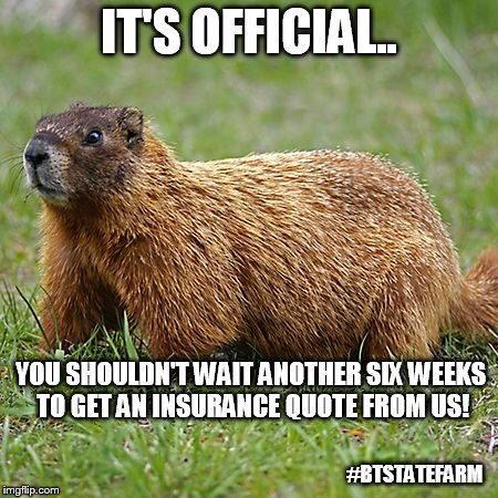 groundhog | IT'S OFFICIAL.. YOU SHOULDN'T WAIT ANOTHER SIX WEEKS TO GET AN INSURANCE QUOTE FROM US! #BTSTATEFARM | image tagged in groundhog | made w/ Imgflip meme maker