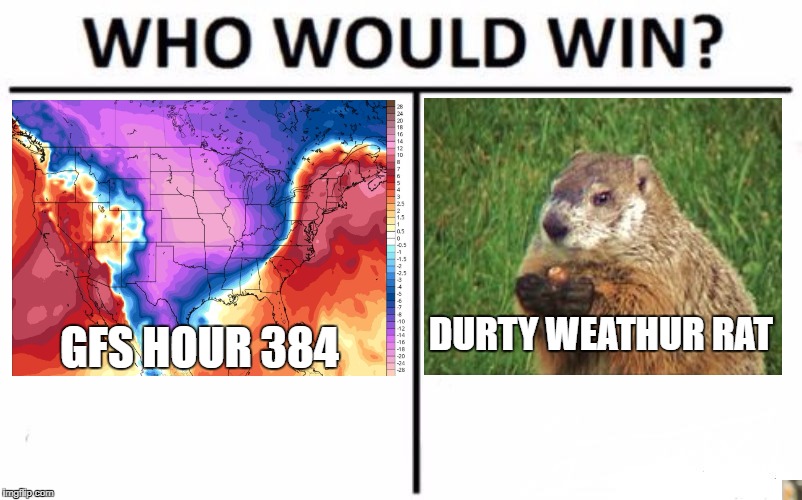 Who Would Win? Meme | DURTY WEATHUR RAT; GFS HOUR 384 | image tagged in memes,who would win | made w/ Imgflip meme maker