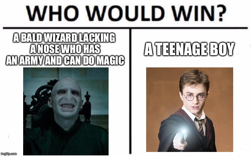 Harry Potter Memes Voldemort Teenage Girl