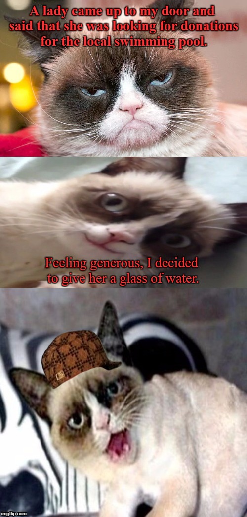 Bad Pun Grumpy Cat | A lady came up to my door and said that she was looking for donations for the local swimming pool. Feeling generous, I decided to give her a glass of water. | image tagged in bad pun grumpy cat,scumbag,grumpy cat,memes | made w/ Imgflip meme maker