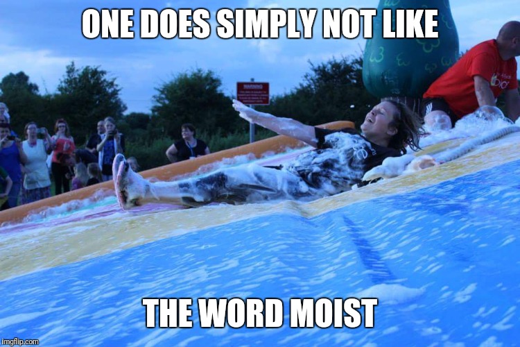 ONE DOES SIMPLY NOT LIKE; THE WORD MOIST | image tagged in moist | made w/ Imgflip meme maker