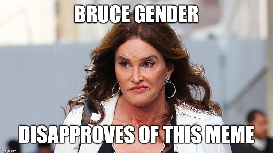 BRUCE GENDER DISAPPROVES OF THIS MEME | made w/ Imgflip meme maker