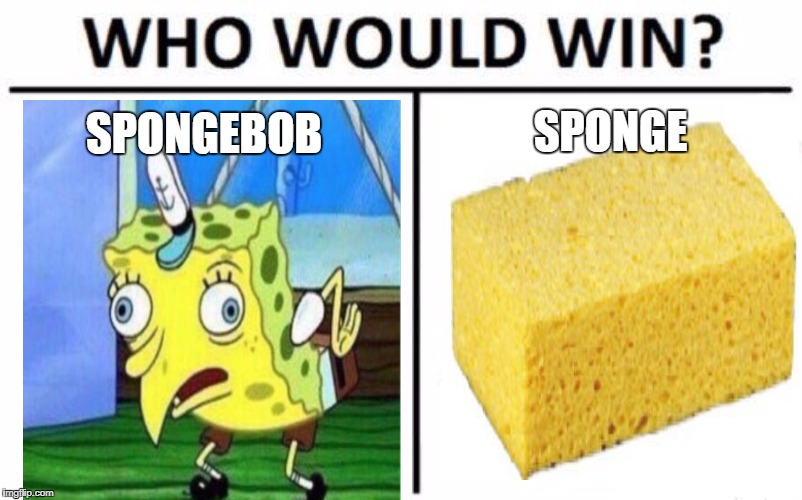 Who Would Win? | SPONGE; SPONGEBOB | image tagged in memes,who would win | made w/ Imgflip meme maker