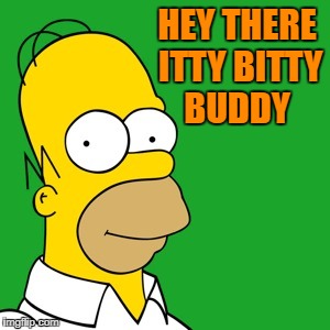 homer | HEY THERE ITTY BITTY BUDDY | image tagged in homer | made w/ Imgflip meme maker