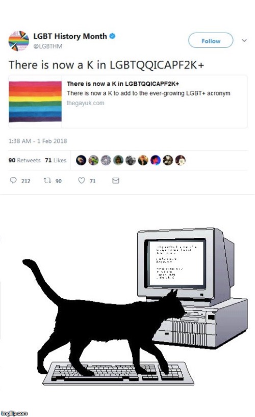 have you ever wondered how those letters are added into the acronym? | . | image tagged in lgbt,cats,rainbow,one does not simply,memes,well that escalated quickly | made w/ Imgflip meme maker
