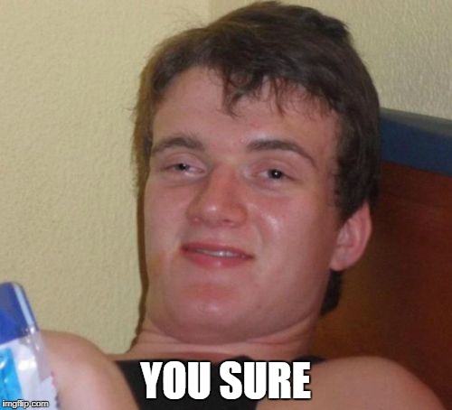 10 Guy Meme | YOU SURE | image tagged in memes,10 guy | made w/ Imgflip meme maker