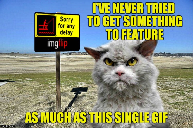 imgflip sorry with pompous cat | I'VE NEVER TRIED TO GET SOMETHING TO FEATURE AS MUCH AS THIS SINGLE GIF | image tagged in imgflip sorry with pompous cat | made w/ Imgflip meme maker