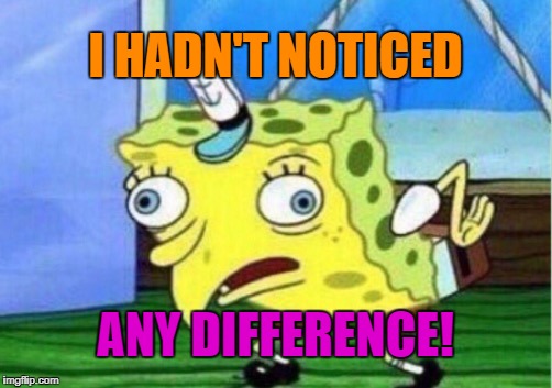 Mocking Spongebob Meme | I HADN'T NOTICED ANY DIFFERENCE! | image tagged in memes,mocking spongebob | made w/ Imgflip meme maker