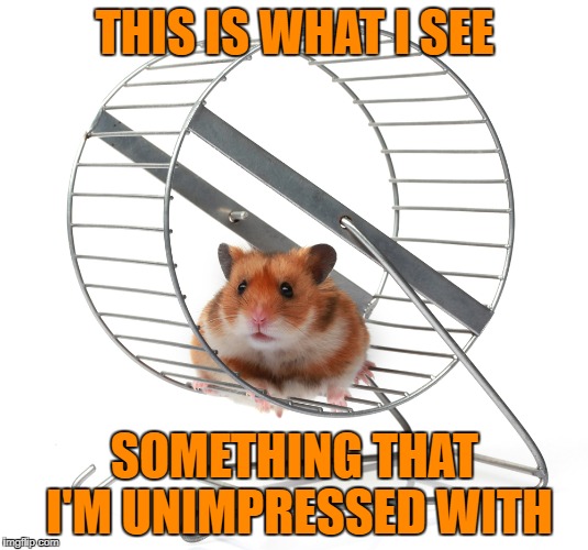 THIS IS WHAT I SEE SOMETHING THAT I'M UNIMPRESSED WITH | made w/ Imgflip meme maker