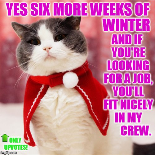 YES SIX MORE WEEKS OF ONLY UPVOTES! WINTER AND IF YOU'RE LOOKING FOR A JOB, YOU'LL FIT NICELY IN MY        CREW. | made w/ Imgflip meme maker