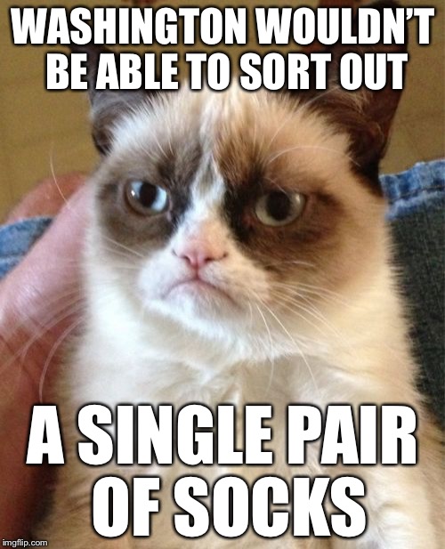Grumpy Cat Meme | WASHINGTON WOULDN’T BE ABLE TO SORT OUT A SINGLE PAIR OF SOCKS | image tagged in memes,grumpy cat | made w/ Imgflip meme maker