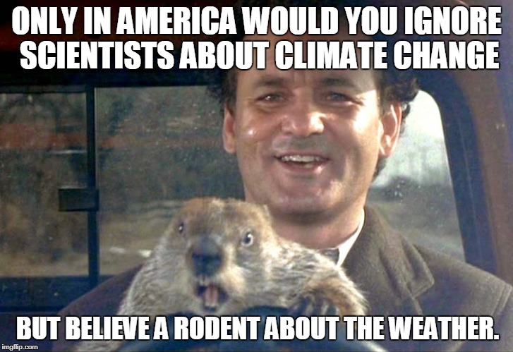 In america | ONLY IN AMERICA WOULD YOU IGNORE SCIENTISTS ABOUT CLIMATE CHANGE; BUT BELIEVE A RODENT ABOUT THE WEATHER. | image tagged in groundhog day,climate change,bill murray,weather,only in america | made w/ Imgflip meme maker