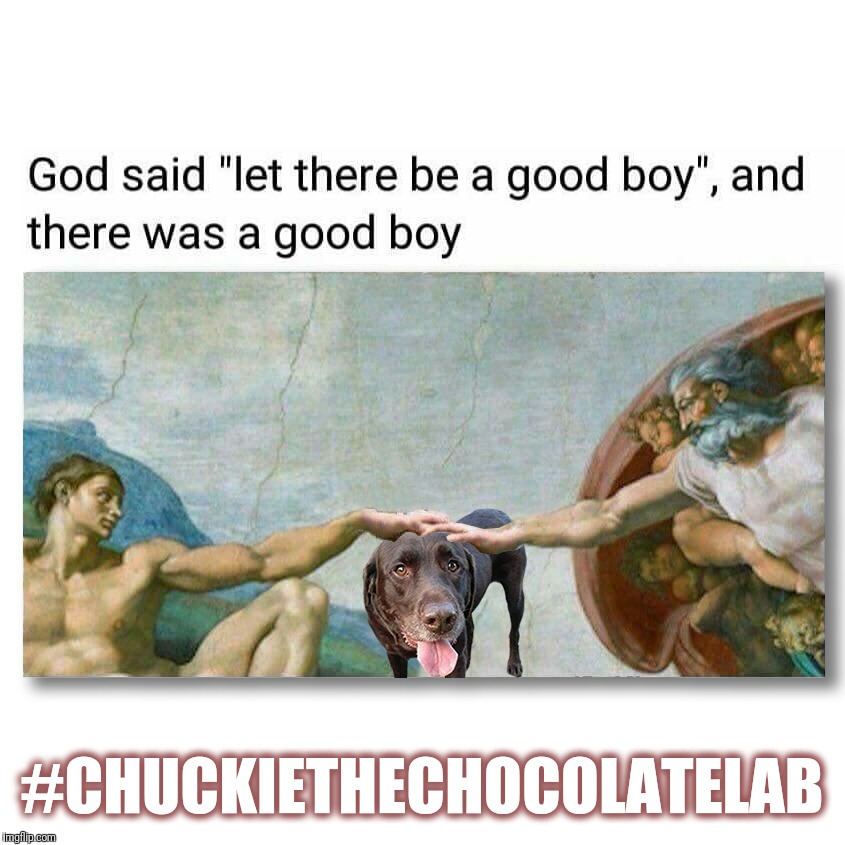 God said let there be a good boy |  #CHUCKIETHECHOCOLATELAB | image tagged in chuckie the chocolate lab,good boy,funny,dogs,michaelangelo,sistine chapel | made w/ Imgflip meme maker