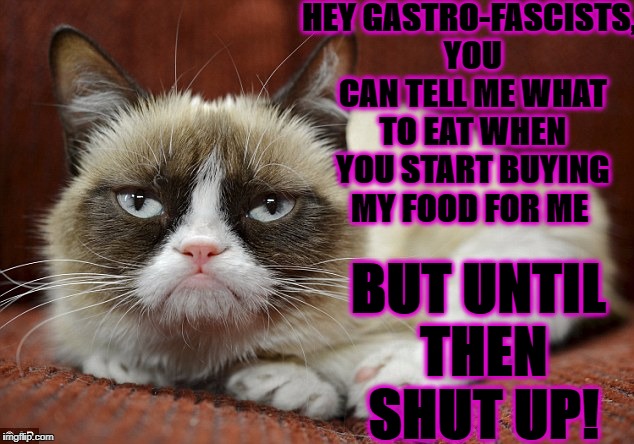 HEY GASTRO-FASCISTS, YOU CAN TELL ME WHAT TO EAT WHEN YOU START BUYING MY FOOD FOR ME; BUT UNTIL THEN SHUT UP! | image tagged in grumpy cat | made w/ Imgflip meme maker