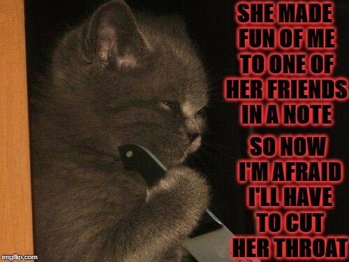 SHE MADE FUN OF ME TO ONE OF HER FRIENDS IN A NOTE; SO NOW I'M AFRAID I'LL HAVE TO CUT HER THROAT | image tagged in psycho kitten | made w/ Imgflip meme maker