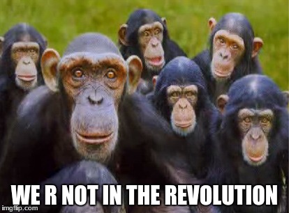 depressed monkeys | WE R NOT IN THE REVOLUTION | image tagged in sad,monkey,revolution | made w/ Imgflip meme maker
