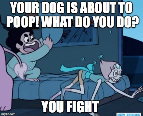 Steven Universe | YOUR DOG IS ABOUT TO POOP!
WHAT DO YOU DO? YOU FIGHT | image tagged in steven universe | made w/ Imgflip meme maker