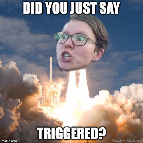 Triggered Flightith | DID YOU JUST SAY TRIGGERED? | image tagged in triggered flightith | made w/ Imgflip meme maker