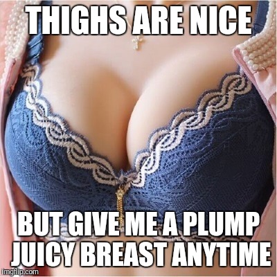 THIGHS ARE NICE BUT GIVE ME A PLUMP JUICY BREAST ANYTIME | made w/ Imgflip meme maker