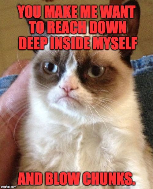 Grumpy Cat Meme | YOU MAKE ME WANT TO REACH DOWN DEEP INSIDE MYSELF; AND BLOW CHUNKS. | image tagged in memes,grumpy cat,seriously,blow chunks | made w/ Imgflip meme maker