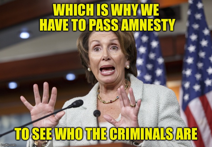 WHICH IS WHY WE HAVE TO PASS AMNESTY; TO SEE WHO THE CRIMINALS ARE | image tagged in nancy pelosi,illegal immigration,democrats,daca | made w/ Imgflip meme maker