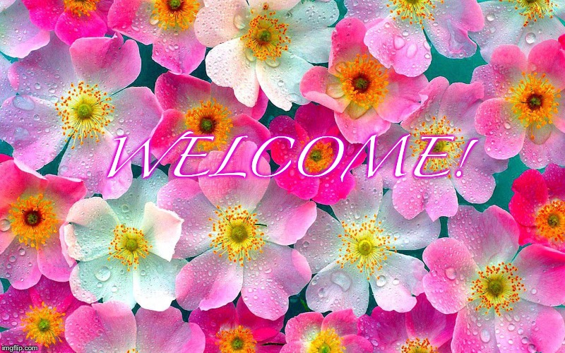 Flowers | WELCOME! | image tagged in flowers | made w/ Imgflip meme maker