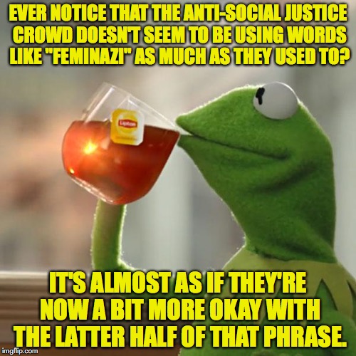 But That's None Of My Business Meme | EVER NOTICE THAT THE ANTI-SOCIAL JUSTICE CROWD DOESN'T SEEM TO BE USING WORDS LIKE "FEMINAZI" AS MUCH AS THEY USED TO? IT'S ALMOST AS IF THEY'RE NOW A BIT MORE OKAY WITH THE LATTER HALF OF THAT PHRASE. | image tagged in memes,but thats none of my business,kermit the frog,nazis,feminism | made w/ Imgflip meme maker