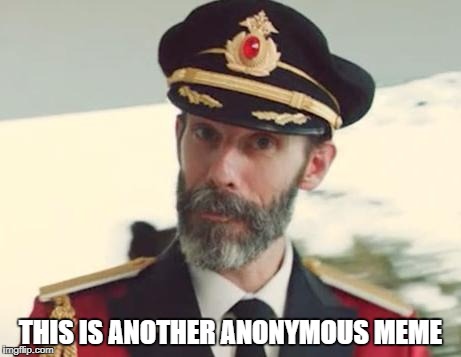Captain Anonymous 2: The Official Sequel | THIS IS ANOTHER ANONYMOUS MEME | image tagged in memes,captain obvious,anonymous,sequel,oh wow are you actually reading these tags | made w/ Imgflip meme maker