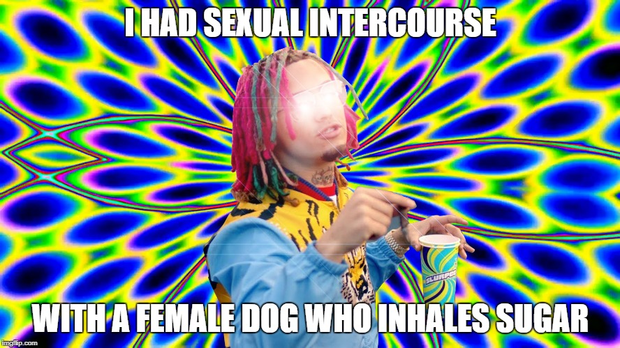 Family Friendly Gucci Gang | I HAD SEXUAL INTERCOURSE; WITH A FEMALE DOG WHO INHALES SUGAR | image tagged in memes | made w/ Imgflip meme maker
