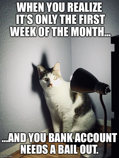 WHEN YOU REALIZE IT’S ONLY THE FIRST WEEK OF THE MONTH... ...AND YOU BANK ACCOUNT NEEDS A BAIL OUT. | image tagged in simbi the cat | made w/ Imgflip meme maker