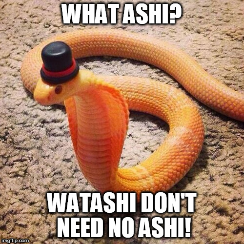 What ashi? | WHAT ASHI? WATASHI DON'T NEED NO ASHI! | image tagged in snake,japanese,bad pun | made w/ Imgflip meme maker