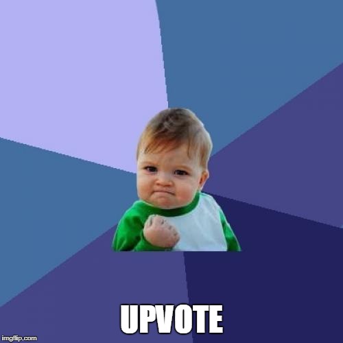 Success Kid Meme | UPVOTE | image tagged in memes,success kid | made w/ Imgflip meme maker