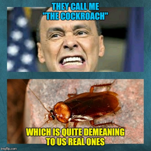 THEY CALL ME "THE COCKROACH"; WHICH IS QUITE DEMEANING TO US REAL ONES | image tagged in cockroaches | made w/ Imgflip meme maker
