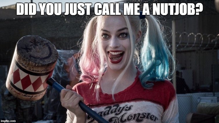 Harley Q | DID YOU JUST CALL ME A NUTJOB? | image tagged in harley q | made w/ Imgflip meme maker