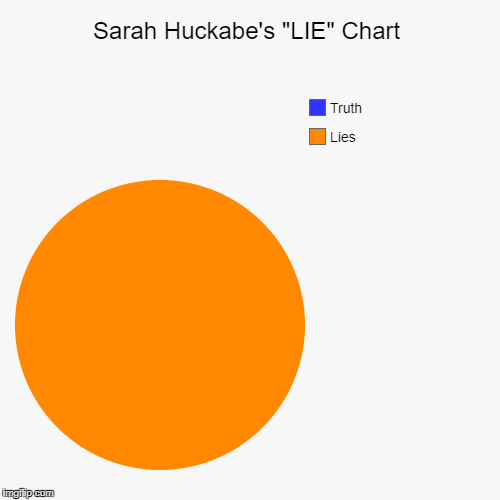 Sarah Huckabe's "LIE" Chart | Lies, Truth | image tagged in funny,pie charts | made w/ Imgflip chart maker