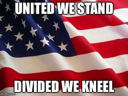 American flag | UNITED WE STAND; DIVIDED WE KNEEL | image tagged in american flag | made w/ Imgflip meme maker