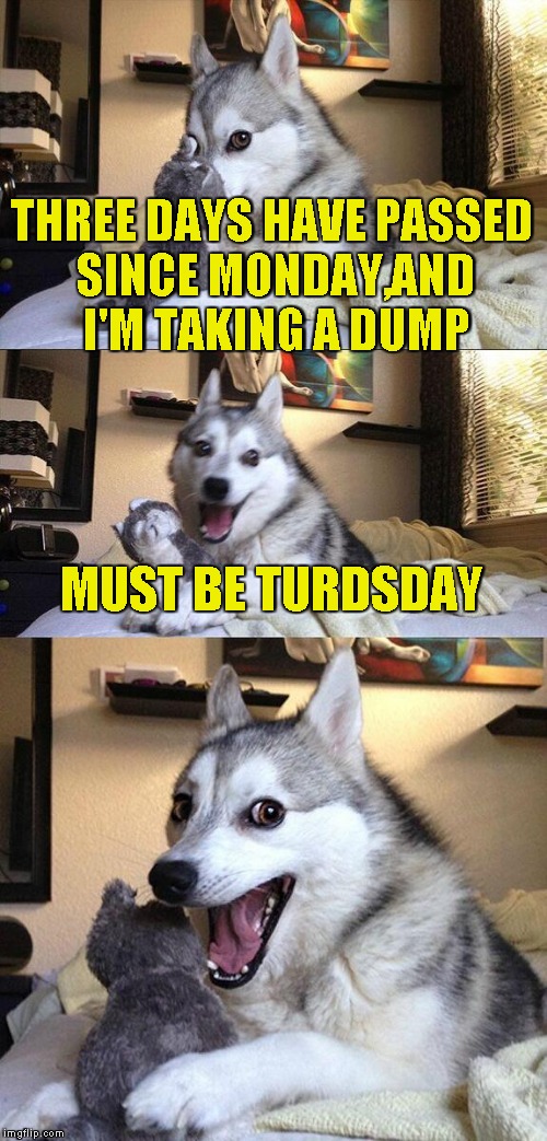 We should ask the dudes at Oxford to officially change the name of the day to Turdsday xD | THREE DAYS HAVE PASSED SINCE MONDAY,AND I'M TAKING A DUMP; MUST BE TURDSDAY | image tagged in memes,bad pun dog,funny,thursday,turd,powermetalhead | made w/ Imgflip meme maker