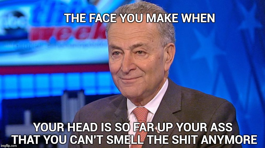 The Poster boy for stricter term limits | THE FACE YOU MAKE WHEN; YOUR HEAD IS SO FAR UP YOUR ASS THAT YOU CAN'T SMELL THE SHIT ANYMORE | image tagged in chuck schumer abc news this week,old people,i farted,stooges | made w/ Imgflip meme maker