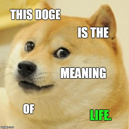 Doge Meme | THIS DOGE; IS THE; MEANING; OF; LIFE. | image tagged in memes,doge | made w/ Imgflip meme maker