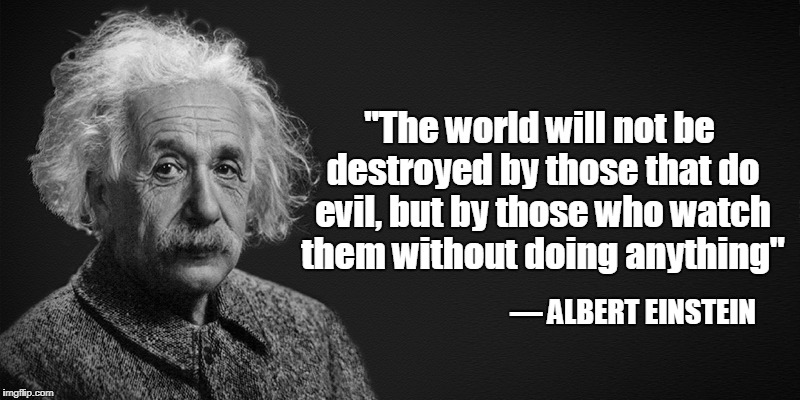 Timeless wisdom... | "The world will not be destroyed by those that do evil, but by those who watch them without doing anything"; ― ALBERT EINSTEIN | image tagged in albert einstein,evil,the world | made w/ Imgflip meme maker