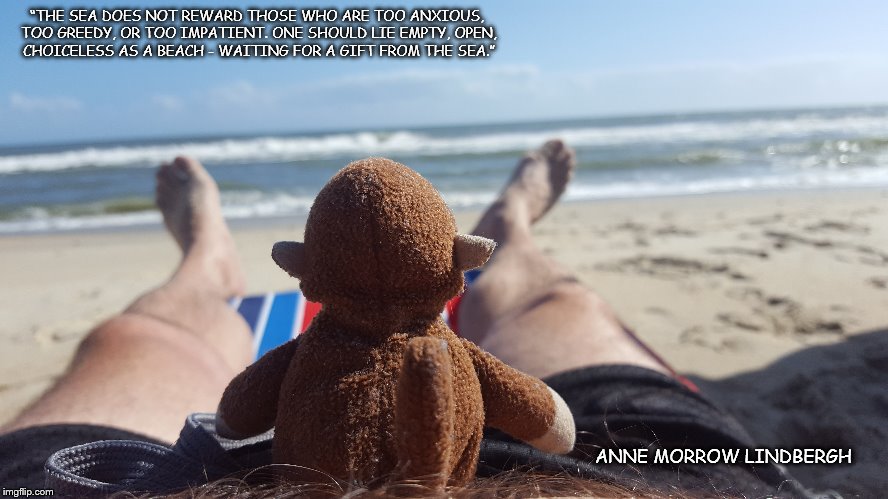 Watching the Sea | “THE SEA DOES NOT REWARD THOSE WHO ARE TOO ANXIOUS, TOO GREEDY, OR TOO IMPATIENT. ONE SHOULD LIE EMPTY, OPEN, CHOICELESS AS A BEACH - WAITING FOR A GIFT FROM THE SEA.”; ANNE MORROW LINDBERGH | image tagged in beach | made w/ Imgflip meme maker
