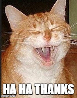 HA HA THANKS | made w/ Imgflip meme maker