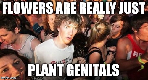 Sudden Clarity Clarence Meme | FLOWERS ARE REALLY JUST; PLANT GENITALS | image tagged in memes,sudden clarity clarence | made w/ Imgflip meme maker